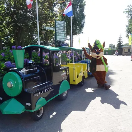 Tent Near Loonse And Drunense Dunes 3*