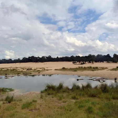 Tent Near Loonse And Drunense Dunes