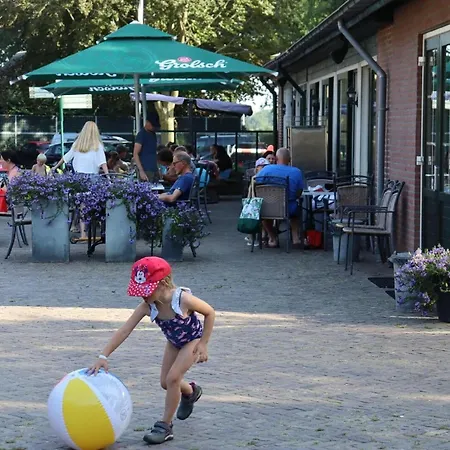 Роскошный шатер Tent Near Loonse And Drunense Dunes Udenhout