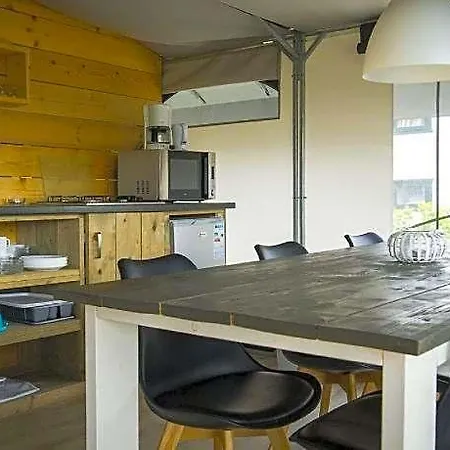 Tent Near Loonse And Drunense Dunes Udenhout
