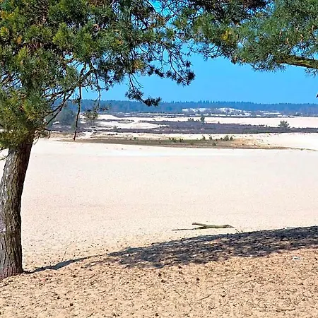Tent Near Loonse And Drunense Dunes Udenhout