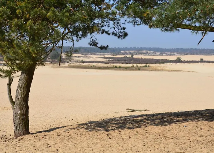 Tent Near Loonse And Drunense Dunes Luxuszelt Udenhout