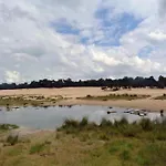 Tent Near Loonse And Drunense Dunes