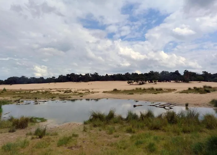 Tent Near Loonse And Drunense Dunes